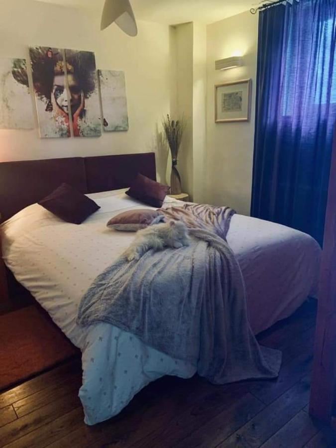 Vila Dragana Zabljak  Ngoại thất bức ảnh