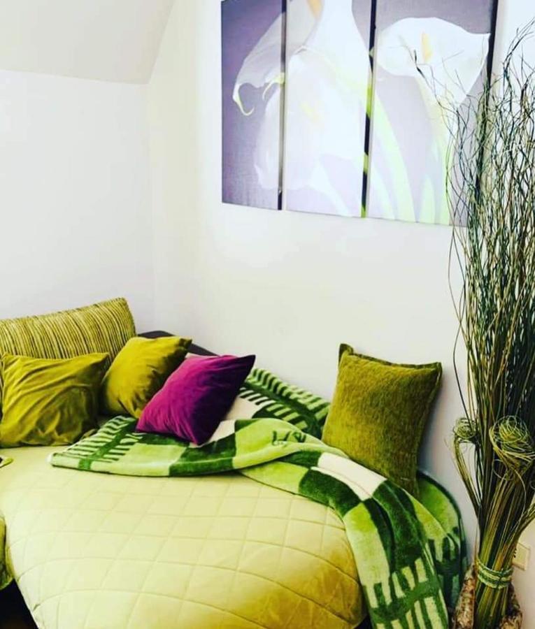 Vila Dragana Zabljak  Ngoại thất bức ảnh