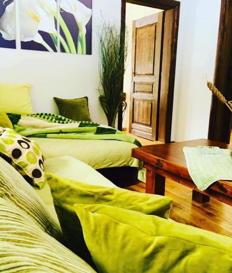 Vila Dragana Zabljak  Ngoại thất bức ảnh